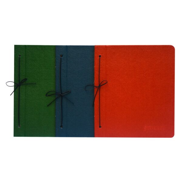 Carpeta Escolar N°3 dos tapas · Fibra Color